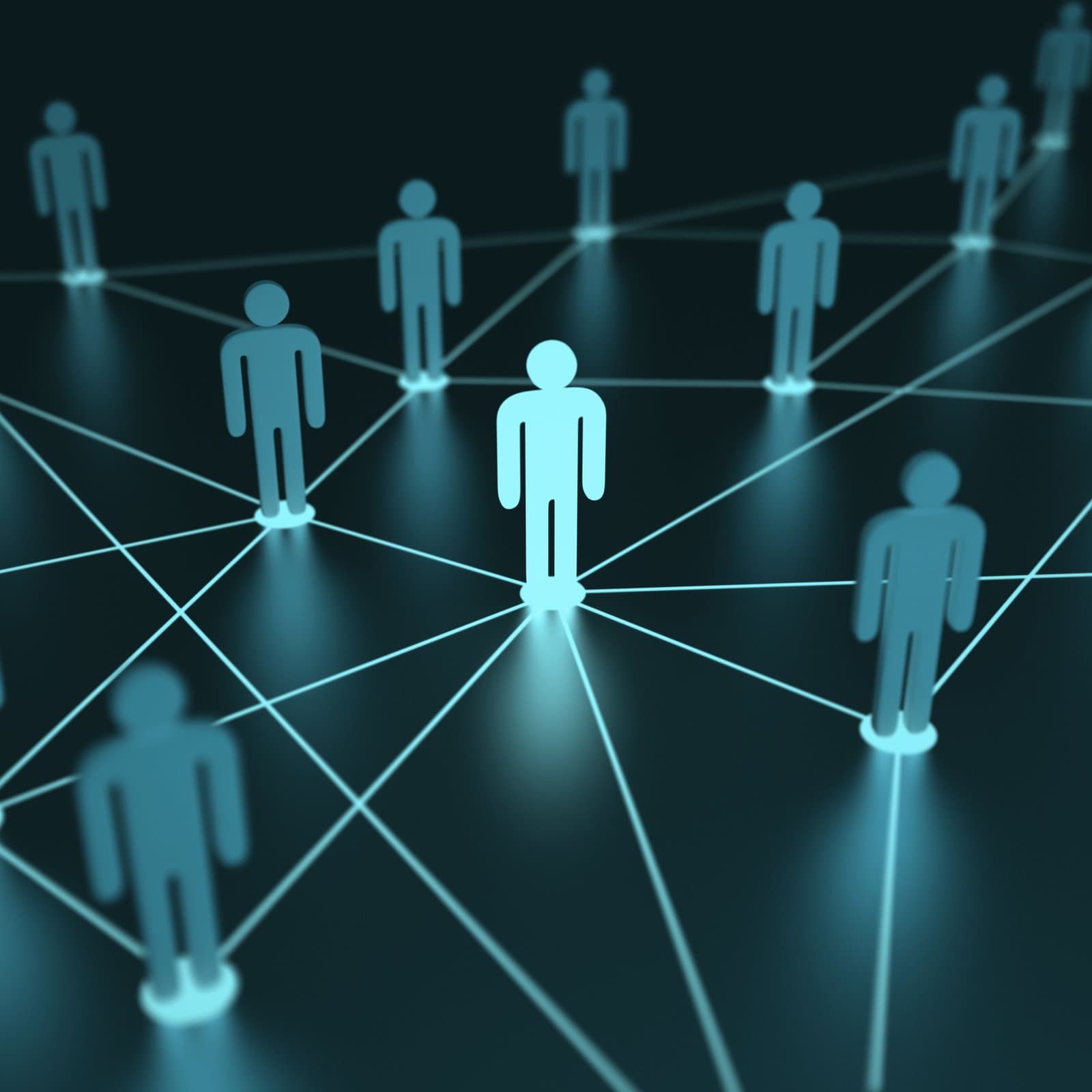 A connected network of capable businesses